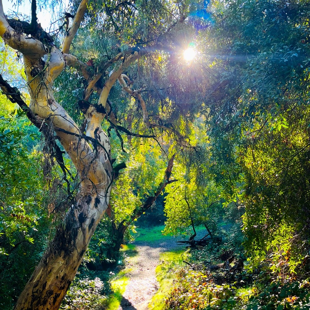 Meet your Posher, Gabriela